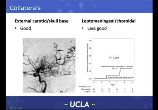 Cerebrovascular and Skull Base International Symposium